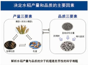 2017年度國家科技獎勵大會 自然科學研究的新高度與時代使命