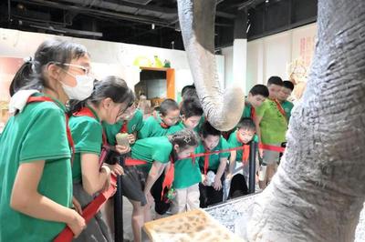 揭秘自然來信，共建綠色家園 | 青少年科學(xué)講壇引領(lǐng)自然探索新風(fēng)尚