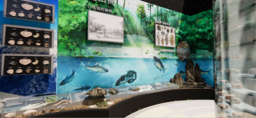 青藏高原綜合科學(xué)考察與研究古生物展廳 在拉薩之巔，探尋生命演化的史詩